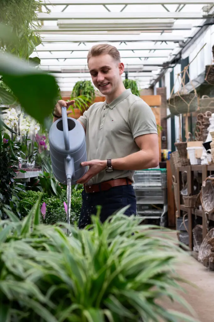 Kantoorbeplanting onderhoud – water geven bij hydrocultuurplant voor blijvend representatief resultaat