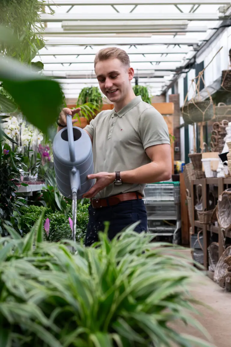 Kantoorbeplanting onderhoud – water geven bij hydrocultuurplant voor blijvend representatief resultaat