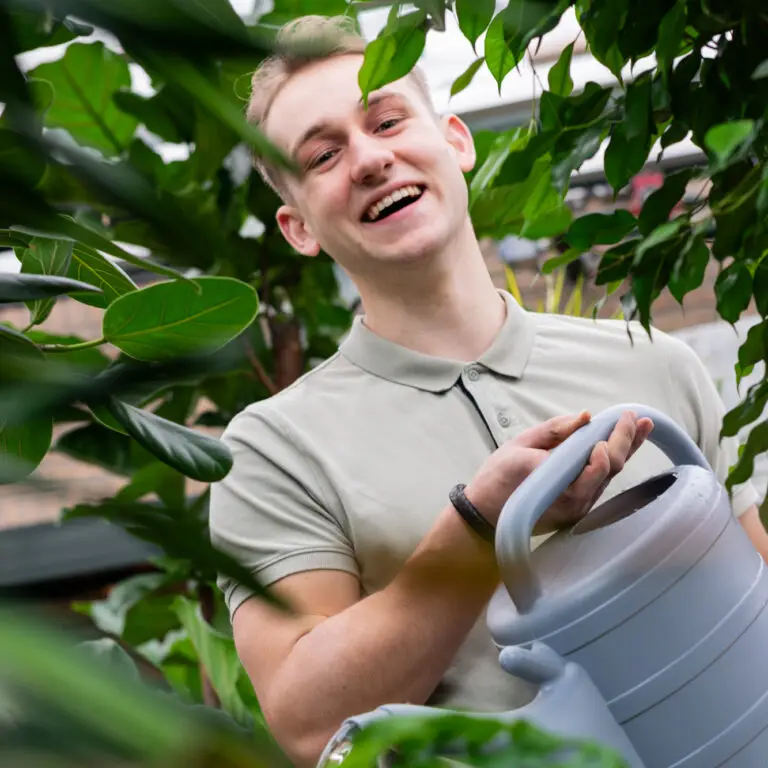 Kantoorbeplanting onderhoud – water geven bij hydrocultuurplant voor blijvend representatief resultaat