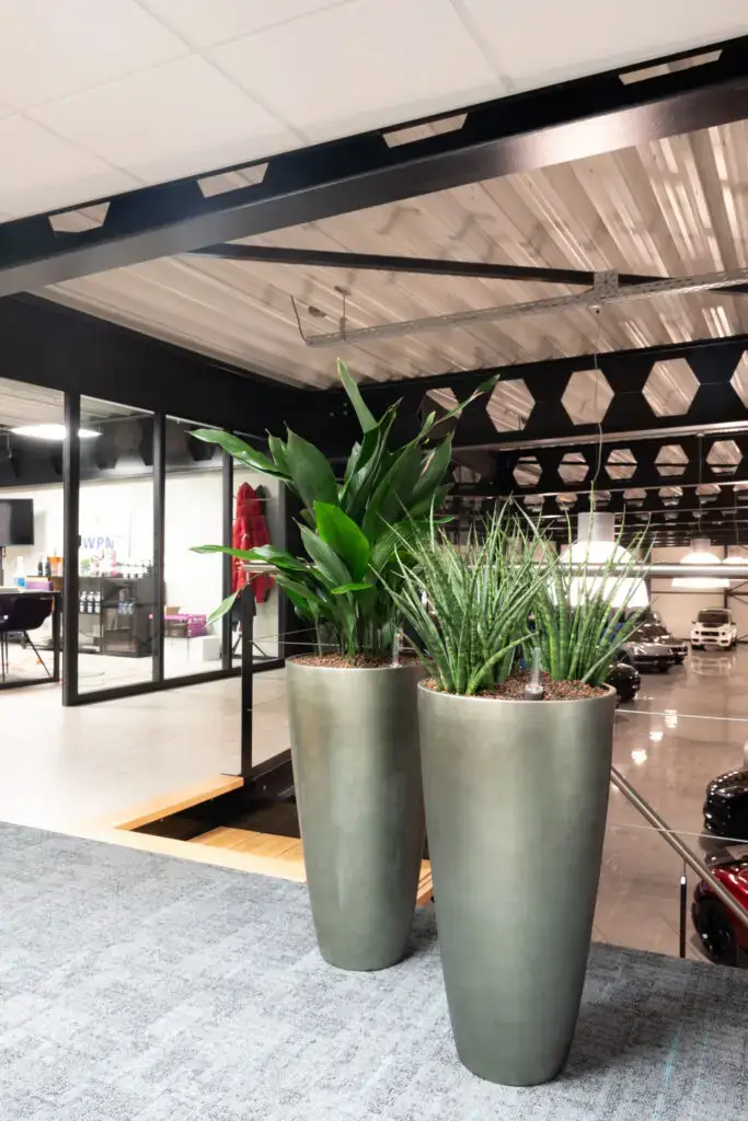 Interieurbeplanting voor bedrijven