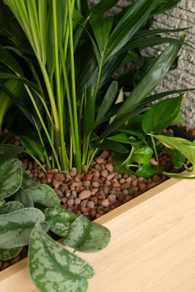 Groene roomdivider met hydrocultuurplanten