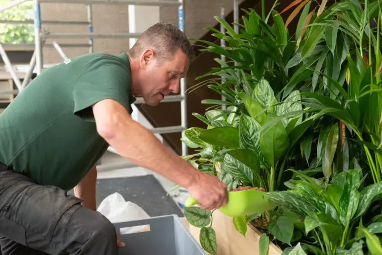 planten voor bedrijven kantoorruimte
