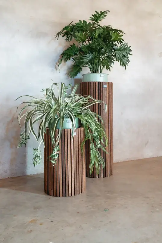 Twee kamerplanten in circulaire houten plantenbakken als onderdeel van duurzame kantoorinrichting