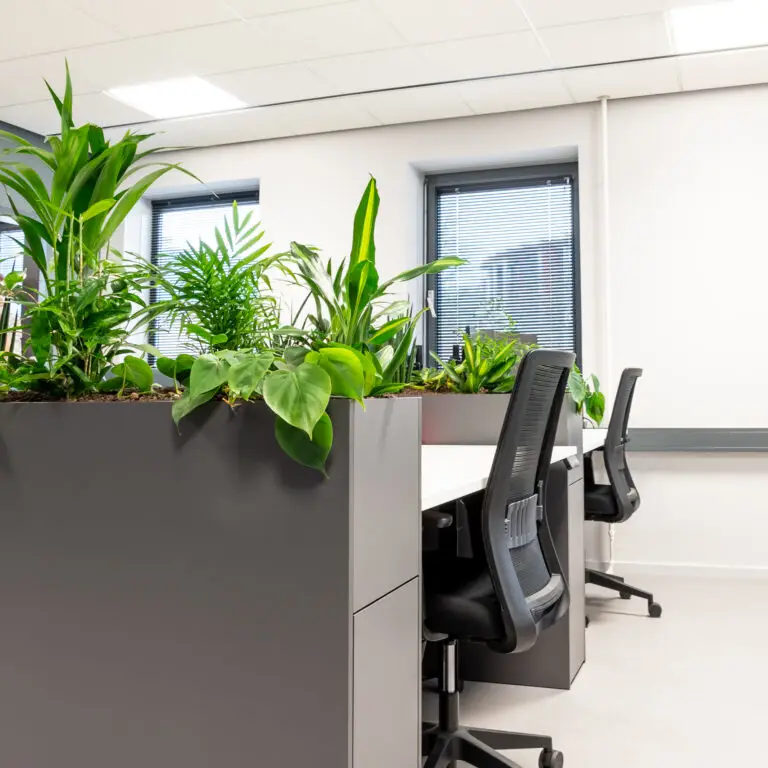 groene werkplek met gezonde planten