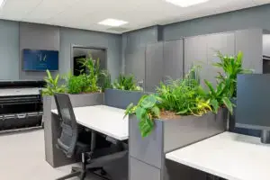 Interieurbeplanting Gelderland, Utrecht en Overijssel