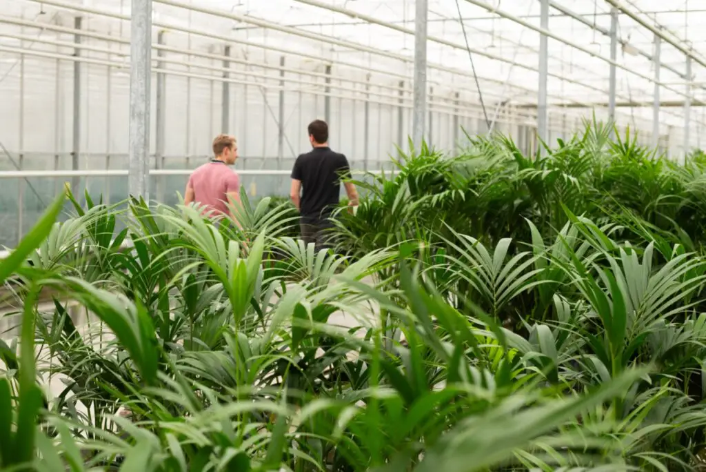 Interieurbeplanting gelderland