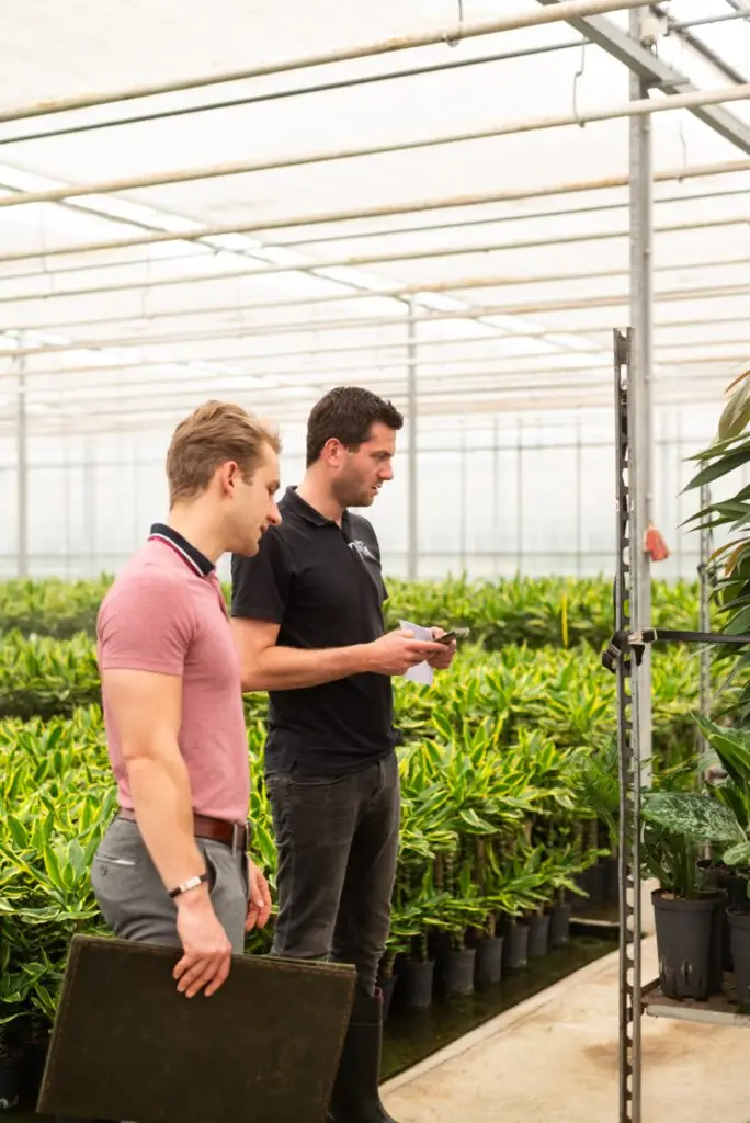hydrocultuur planten uitzoeken bij VLM Hydrocultuur voor kantoorinrichting op maat"
