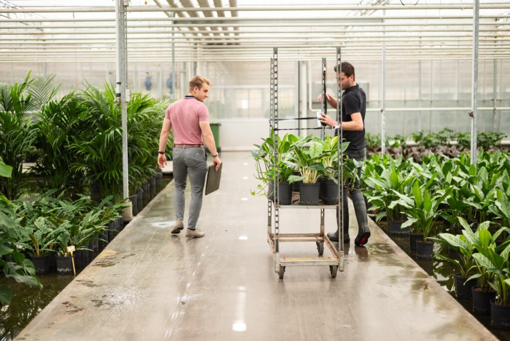 Duurzame interieurbeplanting