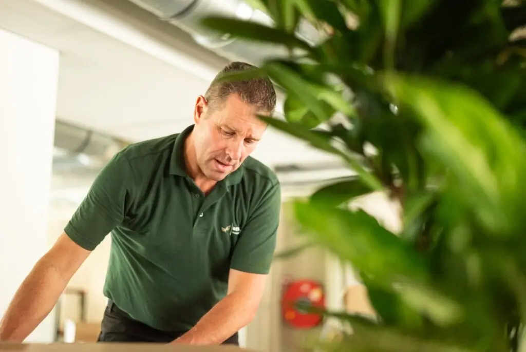 Michel Scheepers van Berendsen Interieurbeplanting aan het werk tussen de luchtzuiverende kantoorplanten