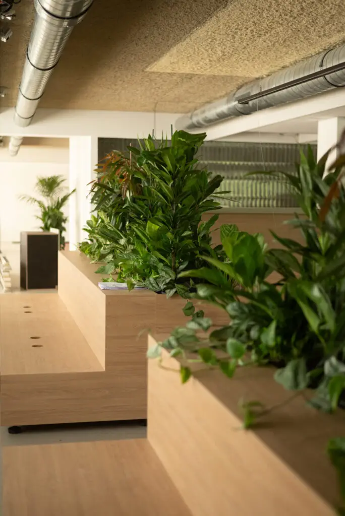 Close-up van hydrocultuurplanten in een design plantenbak