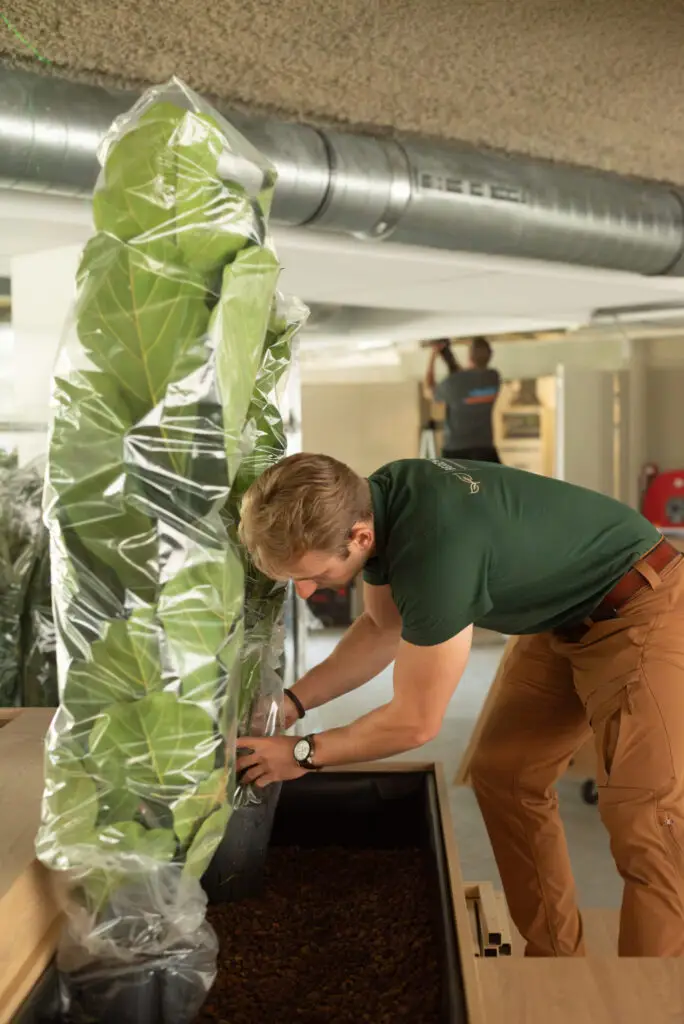 Maatwerk plantenbak op kast met volle hydrocultuurbeplanting