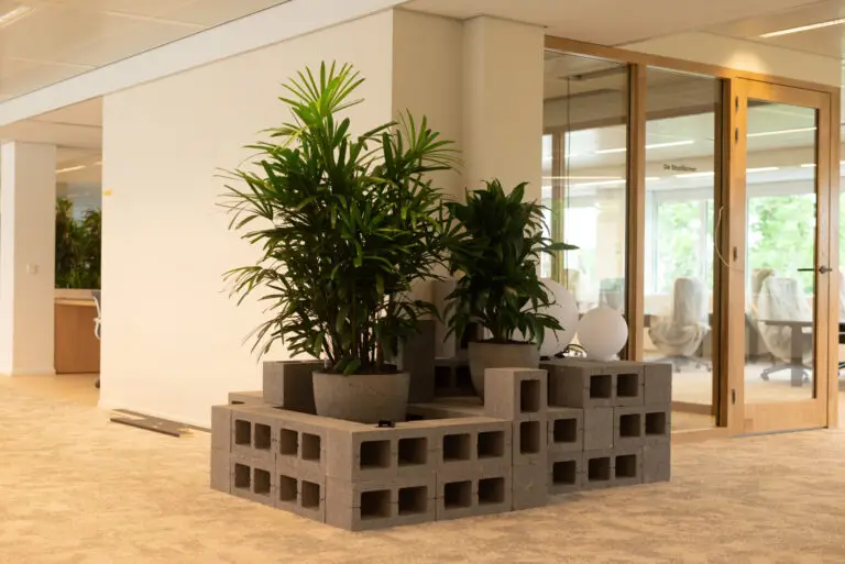 Grote open kantoorruimte met groene kantoorplanten en maatwerk plantenbakken