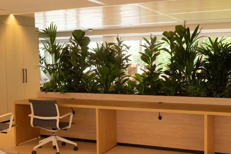 Maatwerk plantenbak als scheidingswand in een ontvangstruimte