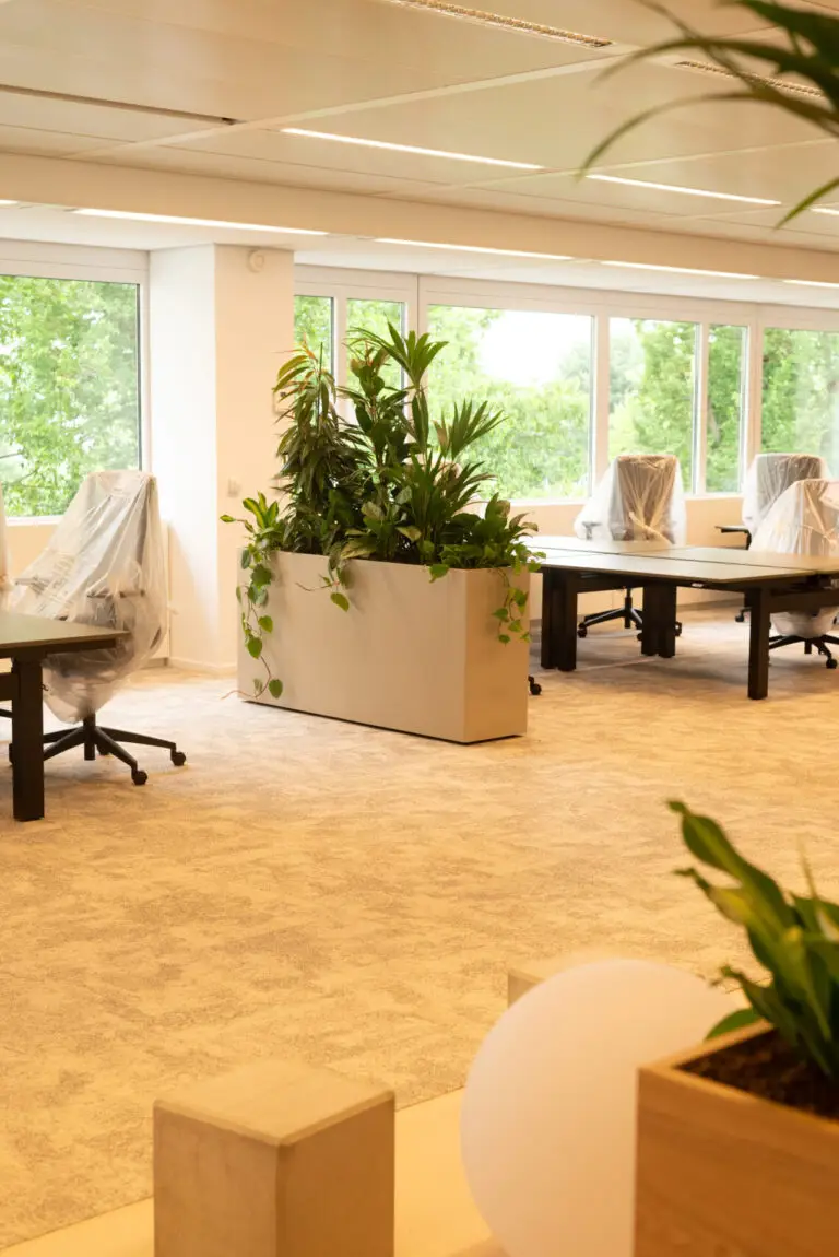 Afscheiding met planten in een modern kantoor