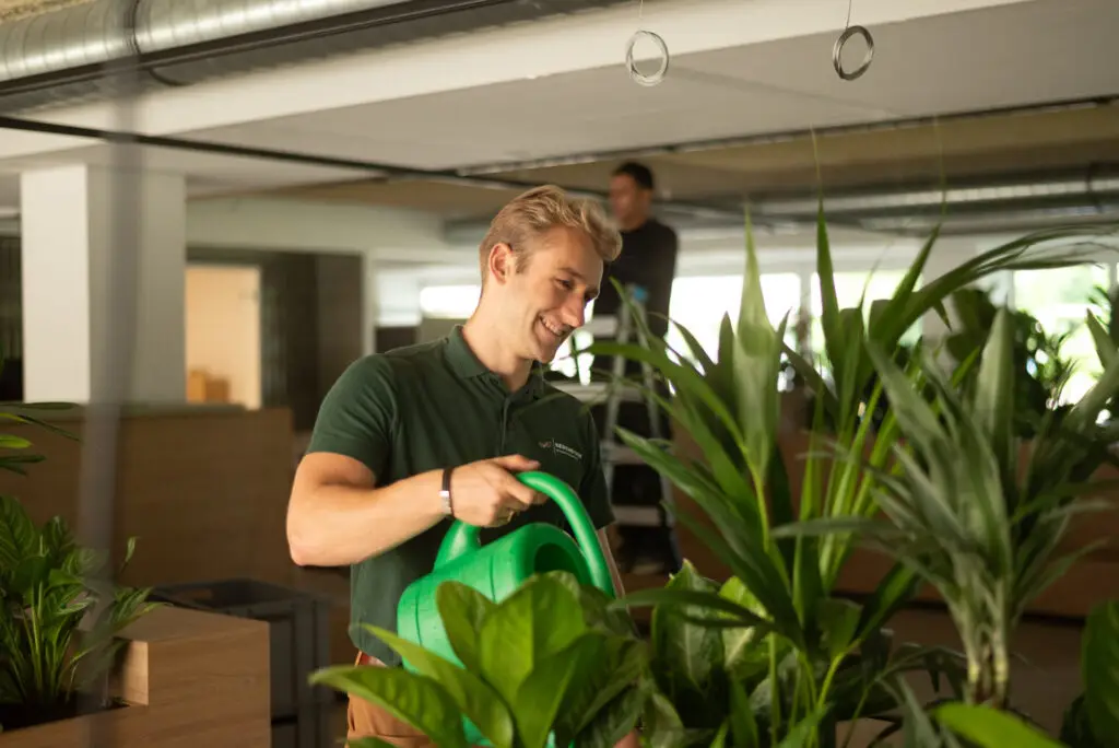 specialist interieurbeplanting onderhoud