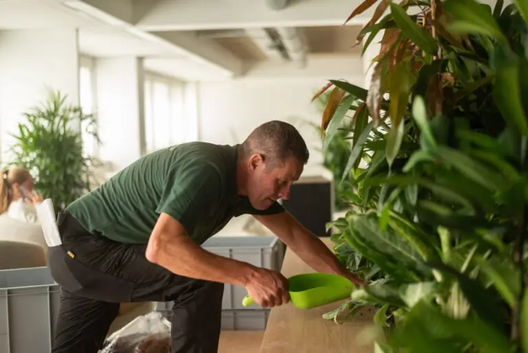 onderhoud hydrocultuur planten