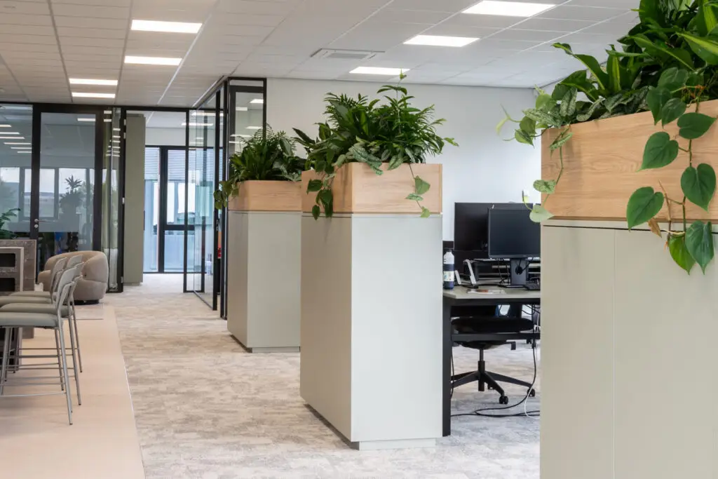 Interieurbeplanting in een modern kantoor met maatwerk plantenbakken op hydrocultuur, verzorgd door Berendsen Interieurbeplanting.
