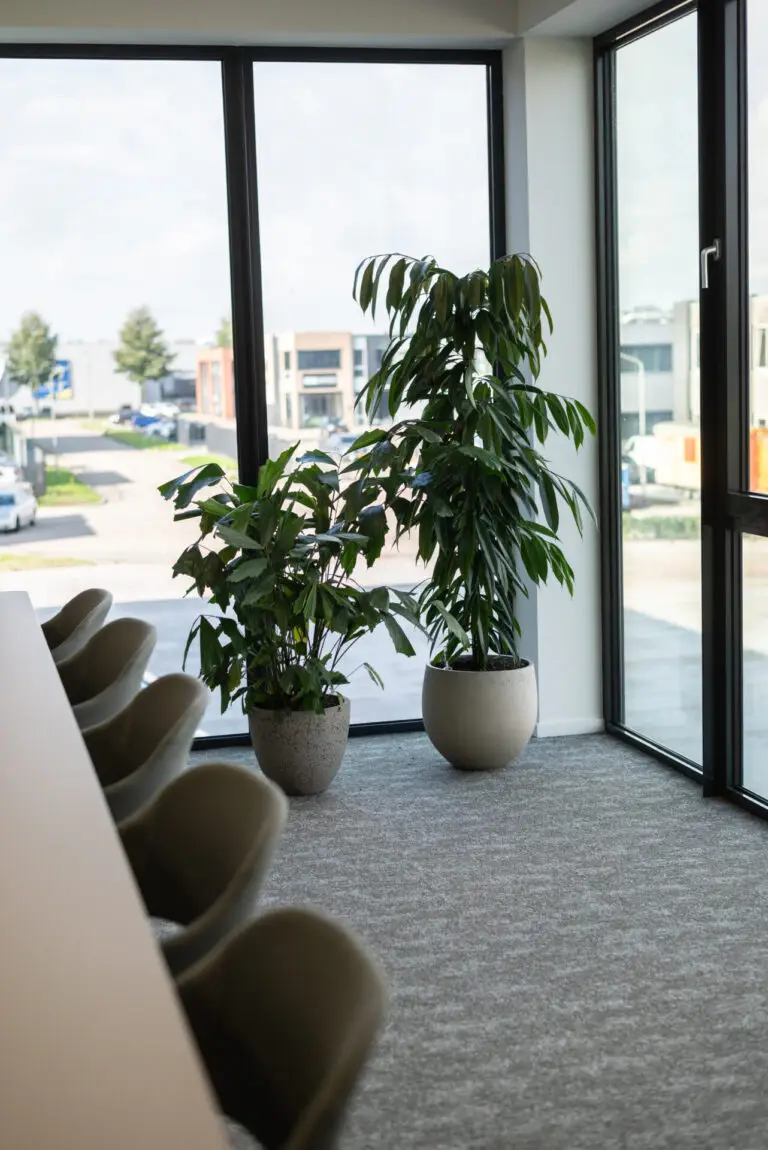 Strakke kantoorruimte met maatwerk plantenbakken gevuld met volle hydrocultuurbeplanting – rust, groen en overzicht.
