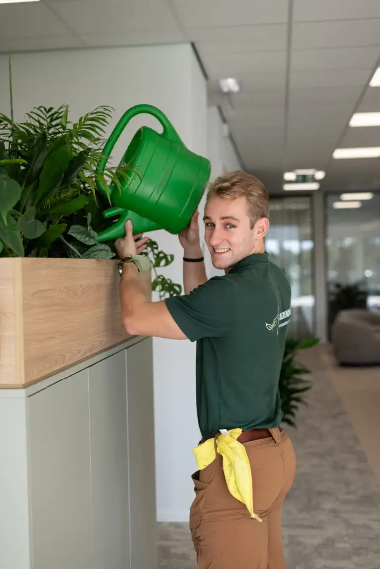 Onderhoudsarme hydrocultuurplanten voor kantoren.