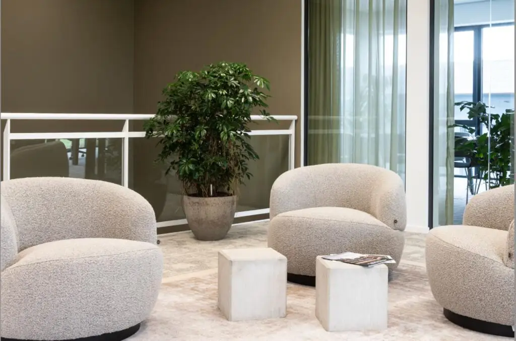 Vergaderruimte met ronde fauteuils, planten en aardse kleuren – een uitnodigend voorbeeld van biophilic design voor een warme en natuurlijke werkplek.