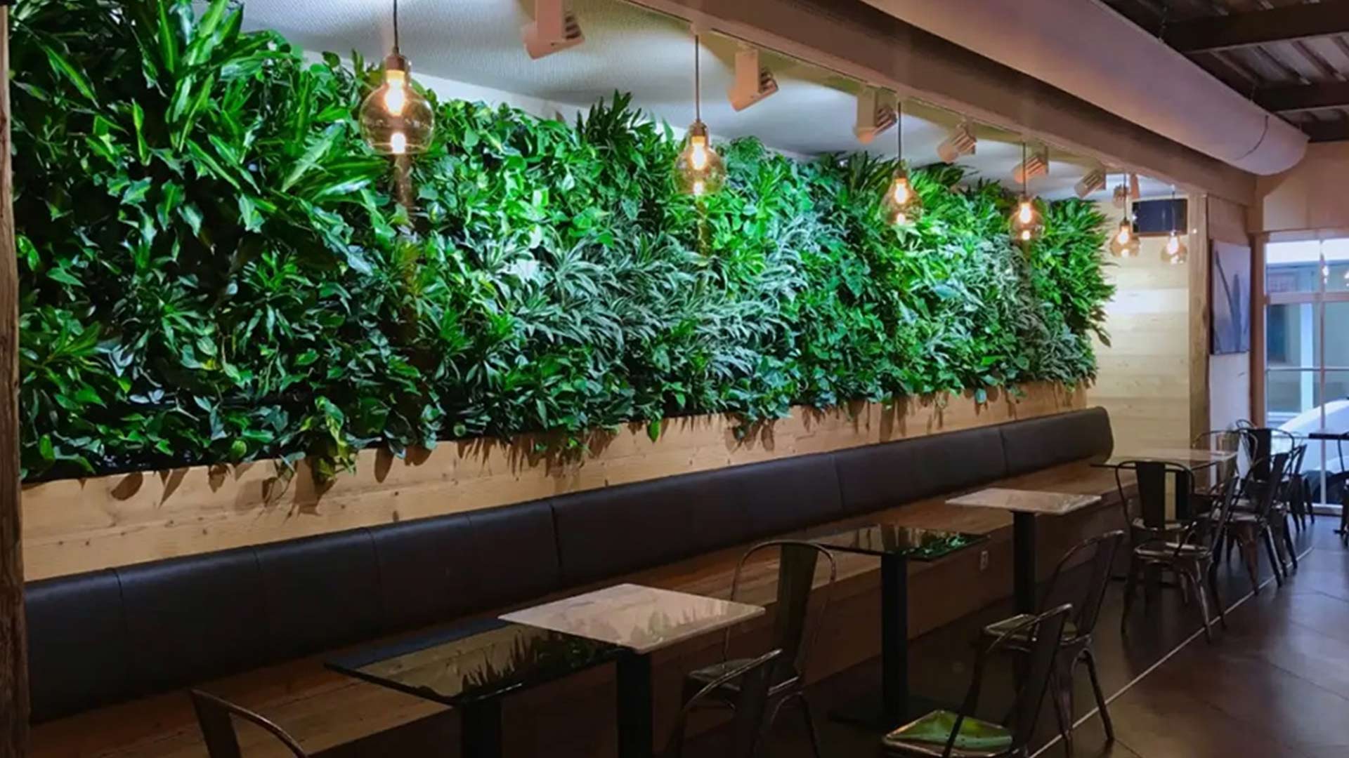 Wij geven een groen garantie! Ideaal toch?