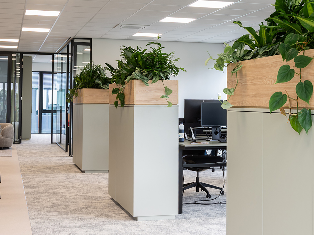 interieurbeplanting onderhoud