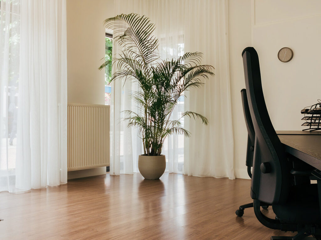 Onderhoud dat kantoorbeplanting op niveau houdt