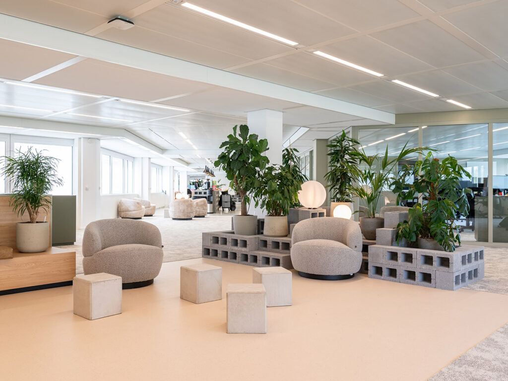 Planten voor kantoor die de ruimte versterken