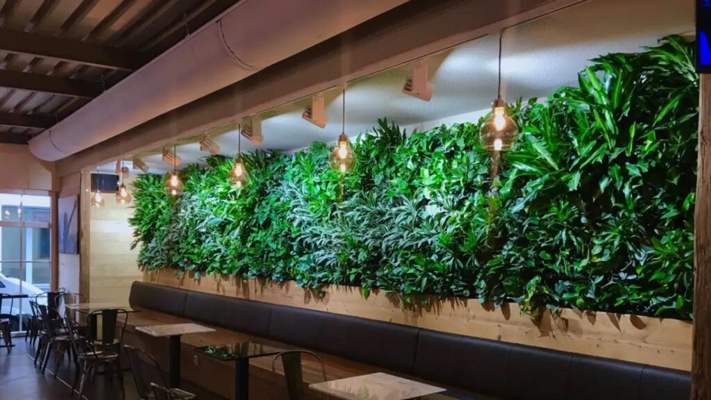 plantenwand voor op kantoor