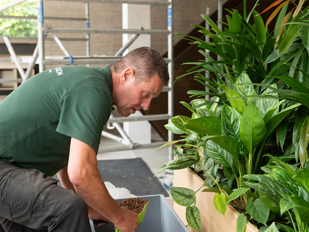 Waarom wij voor kantoorbeplanting vaak kiezen voor hydrocultuur
