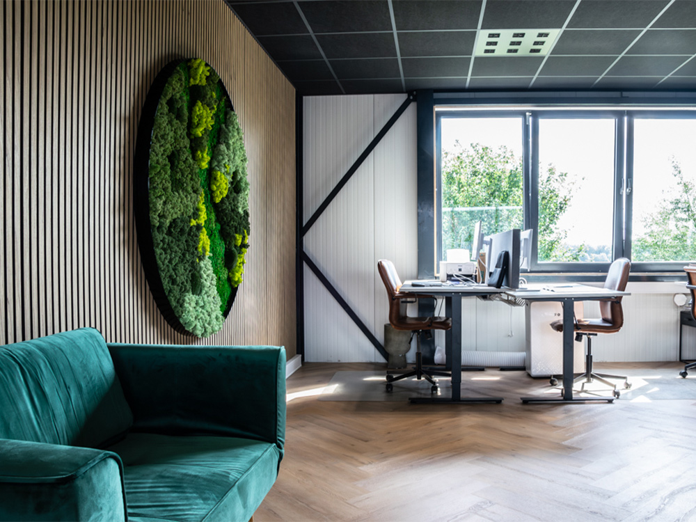 onderhoud voor interieurbeplanting