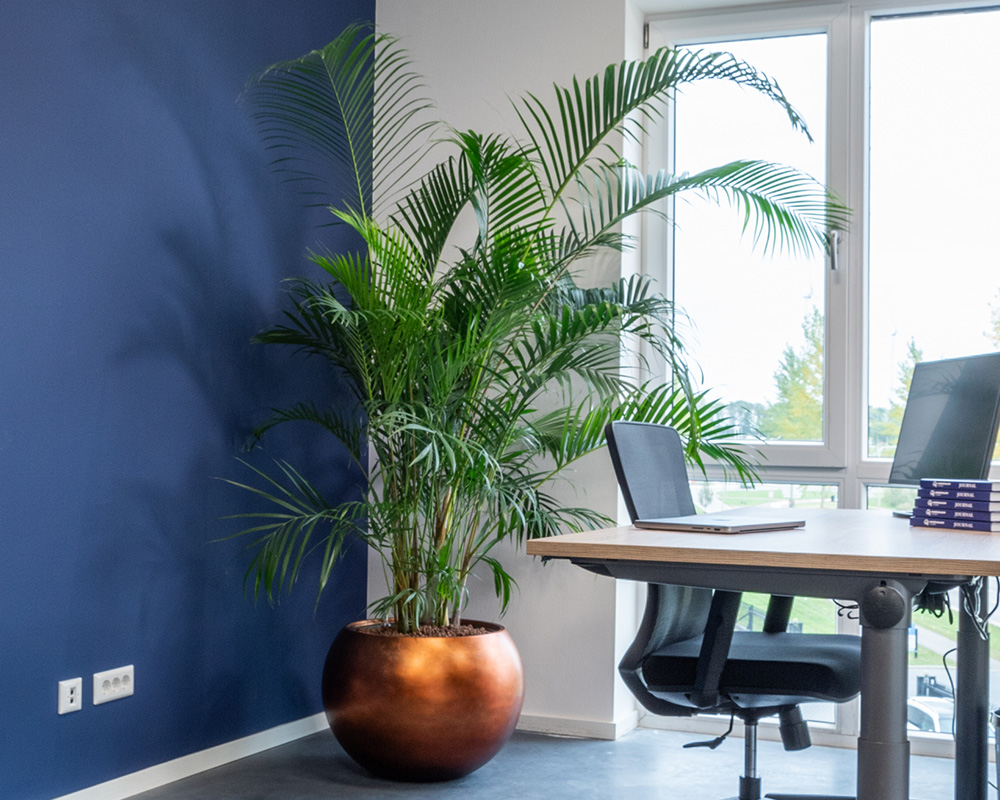 Inspiratie 25