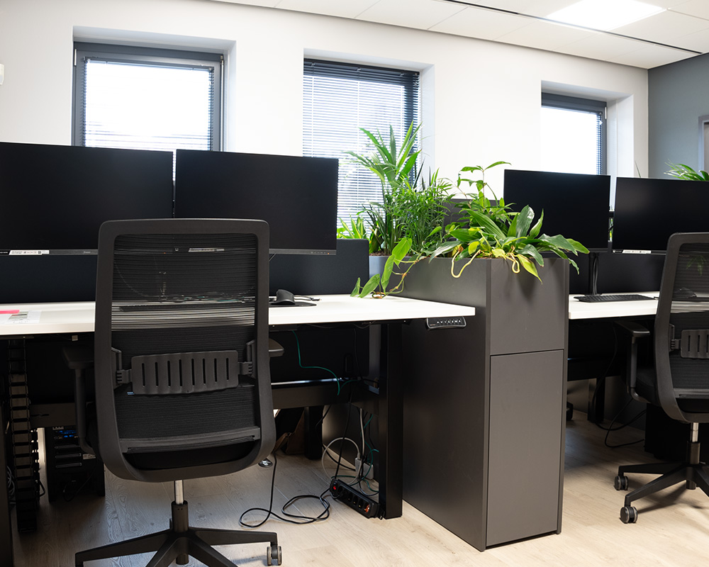 Planten als roomdivider op kantoor