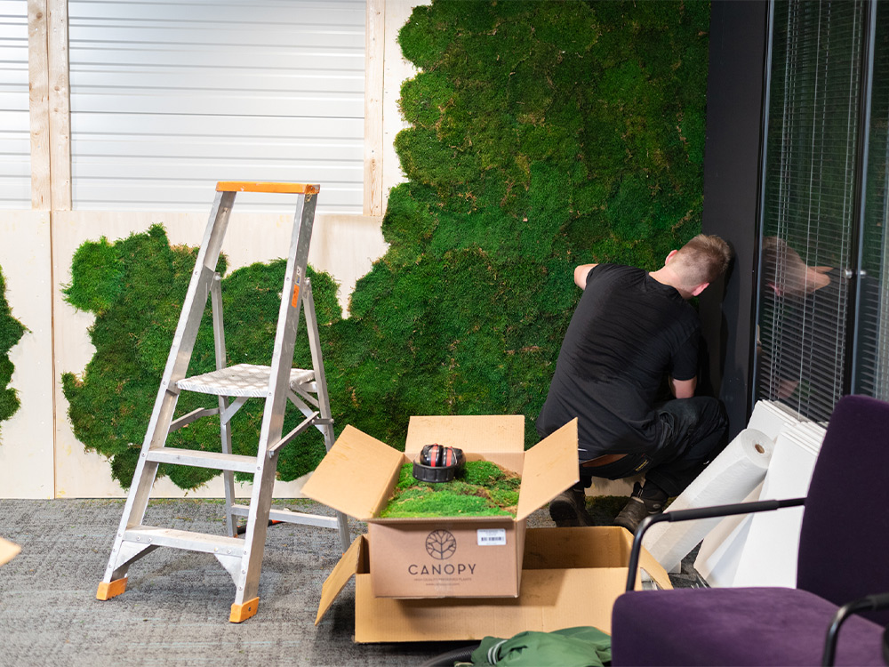 Plantenwand op kantoor