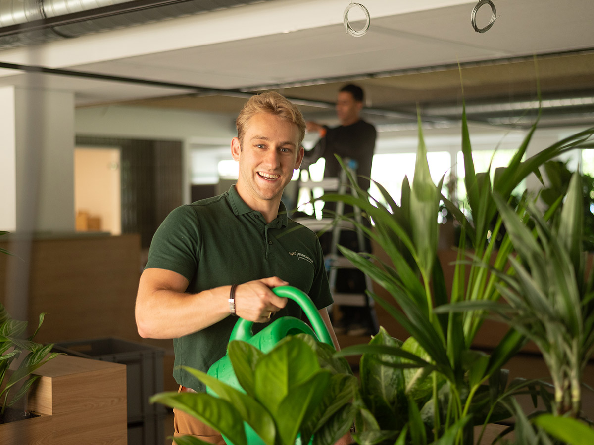 Kantoorplanten onderhoud uitbesteden